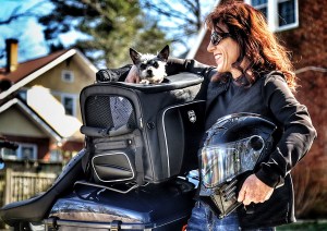Photo of woman standing next to Rover on Black motorcycle with dog popping out